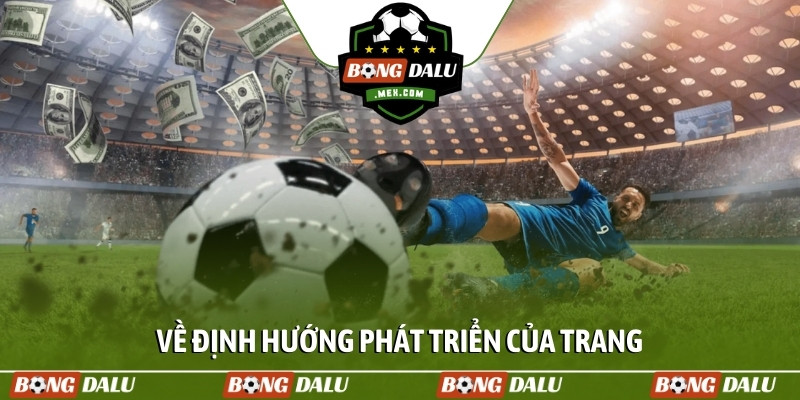 Về định hướng phát triển của trang